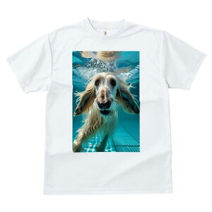 AtKnEh TVc fB[X t@  t  vg JWA 킢 lԗp h ̃fUC ʔ  AtKnEh v[