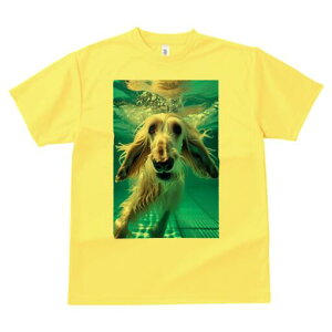 AtKnEh TVc fB[X t@  t  vg JWA 킢 lԗp h ̃fUC ʔ  AtKnEh v[