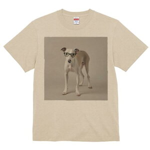 C^AO[nEh TVc Y LbY t@  t  vg JWA 킢 lԗp h ̃fUC ʔ Kl C^AO[nEh