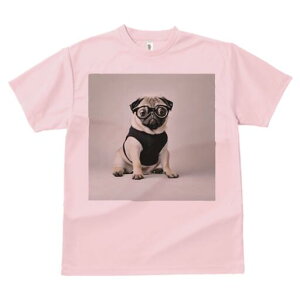 pO TVc fB[X t@  t  vg JWA 킢 lԗp h ̃fUC ʔ Kl pO Z[^[