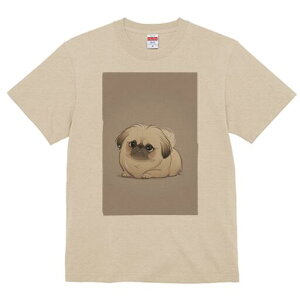 yLj[Y TVc fB[X t@  t  vg JWA 킢 lԗp h ̃fUC ʔ yLj[Y