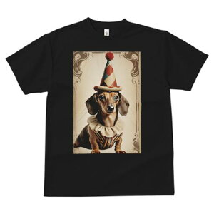 _bNXtg TVc fB[X t@  t  vg JWA 킢 lԗp h ̃fUC ʔ sG _bNXtg T[JX Xq ߑ