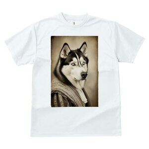 VxAnXL[ TVc fB[X t@  t  vg JWA 킢 lԗp h ̃fUC ʔ ё VxAnXL[ 