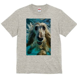 AtKnEh TVc fB[X t@  t  vg JWA 킢 lԗp h ̃fUC ʔ  AtKnEh 