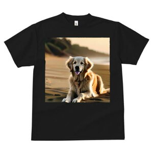 S[fgo[ TVc fB[X t@  t  vg JWA 킢 lԗp h ̃fUC ʔ r[` S[fgo[