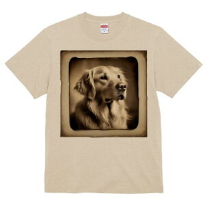 S[fgo[ TVc fB[X t@  t  vg JWA 킢 lԗp h ̃fUC ʔ Be[W S[fgo[ g A