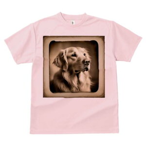 S[fgo[ TVc fB[X t@  t  vg JWA 킢 lԗp h ̃fUC ʔ Be[W S[fgo[ g A