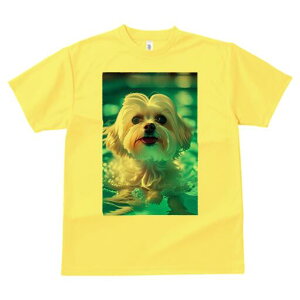 }`[Y TVc fB[X t@  t  vg JWA 킢 lԗp h ̃fUC ʔ  }`[Y v[