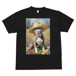 AJsbgueA TVc fB[X t@  t  vg JWA 킢 lԗp h ̃fUC ʔ Xq AJsbgueA   t