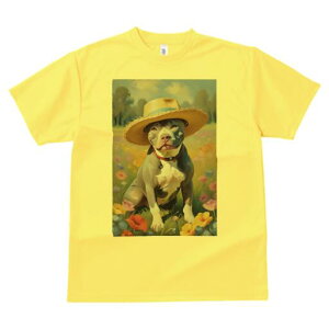 AJsbgueA TVc fB[X t@  t  vg JWA 킢 lԗp h ̃fUC ʔ Xq AJsbgueA   t