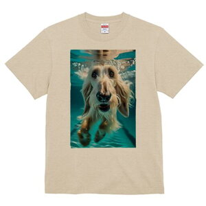 AtKnEh TVc fB[X t@  t  vg JWA 킢 lԗp h ̃fUC ʔ  AtKnEh v[