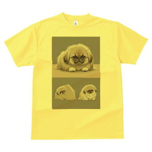 yLj[Y TVc fB[X t@  t  vg JWA 킢 lԗp h ̃fUC ʔ yLj[Y