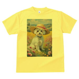 }`[Y TVc fB[X t@  t  vg JWA 킢 lԗp h ̃fUC ʔ Xq }`[Y  i