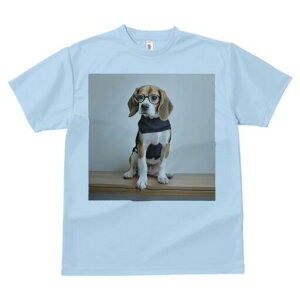 r[O TVc fB[X t@  t  vg JWA 킢 lԗp h ̃fUC ʔ Kl r[O Z[^[