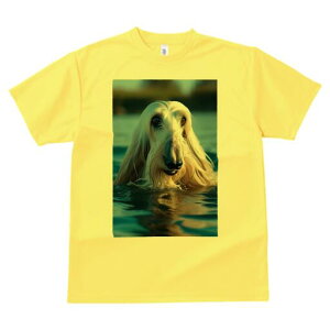 AtKnEh TVc fB[X t@  t  vg JWA 킢 lԗp h ̃fUC ʔ  AtKnEh 