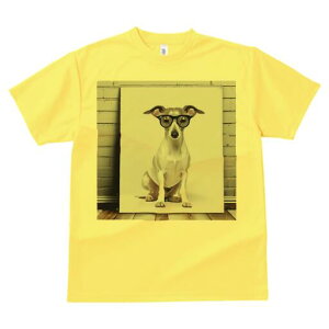 C^AO[nEh TVc Y LbY t@  t  vg JWA 킢 lԗp h ̃fUC ʔ Kl C^AO[nEh