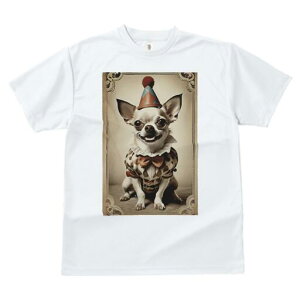 ` TVc fB[X t@  t  vg JWA 킢 lԗp h ̃fUC ʔ sG ` Xq T[JX g