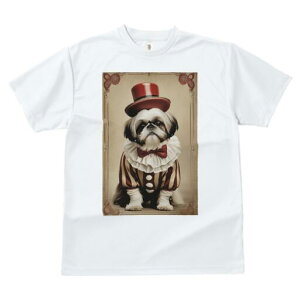 V[Y[ TVc fB[X t@  t  vg JWA 킢 lԗp h ̃fUC ʔ Xq V[Y[ T[JX ߑ lN^C