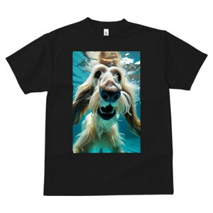 AtKnEh TVc fB[X t@  t  vg JWA 킢 lԗp h ̃fUC ʔ  AtKnEh 