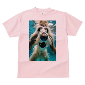 AtKnEh TVc fB[X t@  t  vg JWA 킢 lԗp h ̃fUC ʔ  AtKnEh 