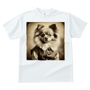 ` TVc fB[X t@  t  vg JWA 킢 lԗp h ̃fUC ʔ AeB[N ` [X 