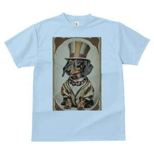 _bNXtg TVc fB[X t@  t  vg JWA 킢 lԗp h ̃fUC ʔ Xq _bNXtg X[c lN^C