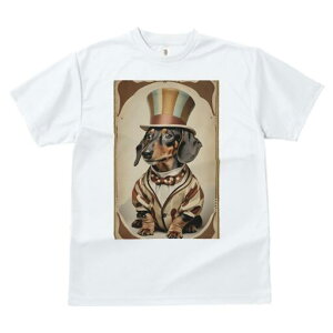 _bNXtg TVc fB[X t@  t  vg JWA 킢 lԗp h ̃fUC ʔ Xq _bNXtg X[c lN^C