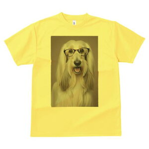 AtKnEh TVc fB[X t@  t  vg JWA 킢 lԗp h ̃fUC ʔ Kl AtKnEh