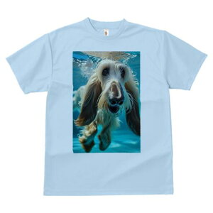 AtKnEh TVc fB[X t@  t  vg JWA 킢 lԗp h ̃fUC ʔ  AtKnEh 