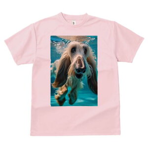 AtKnEh TVc fB[X t@  t  vg JWA 킢 lԗp h ̃fUC ʔ  AtKnEh 