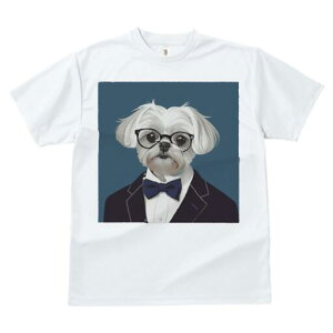 }`[Y TVc fB[X t@  t  vg JWA 킢 lԗp h ̃fUC ʔ lN^C }`[Y X[c ዾ