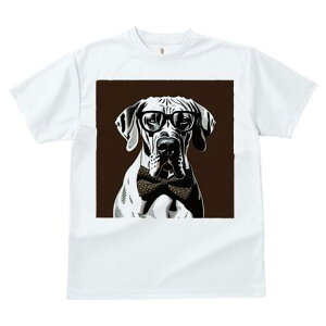 O[gf[ TVc Y LbY t@  t  vg JWA 킢 lԗp h ̃fUC ʔ Kl O[gf[ lN^C