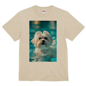 }`[Y TVc fB[X t@  t  vg JWA 킢 lԗp h ̃fUC ʔ  }`[Y v[