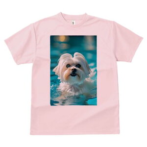 }`[Y TVc fB[X t@  t  vg JWA 킢 lԗp h ̃fUC ʔ  }`[Y v[