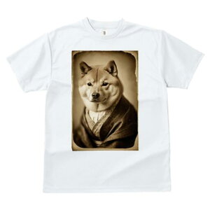 Č TVc fB[X t@  t  vg JWA 킢 lԗp h ̃fUC ʔ g Č Be[W 