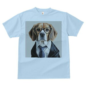 r[O TVc fB[X t@  t  vg JWA 킢 lԗp h ̃fUC ʔ Kl r[O X[c lN^C