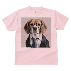 r[O TVc fB[X t@  t  vg JWA 킢 lԗp h ̃fUC ʔ Kl r[O X[c lN^C