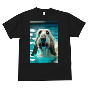 AtKnEh TVc fB[X t@  t  vg JWA 킢 lԗp h ̃fUC ʔ  AtKnEh v[