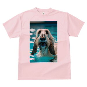 AtKnEh TVc fB[X t@  t  vg JWA 킢 lԗp h ̃fUC ʔ  AtKnEh v[