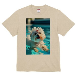 }`[Y TVc fB[X t@  t  vg JWA 킢 lԗp h ̃fUC ʔ v[ }`[Y