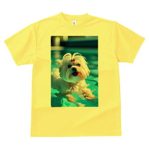 }`[Y TVc fB[X t@  t  vg JWA 킢 lԗp h ̃fUC ʔ v[ }`[Y