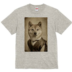 Č TVc fB[X t@  t  vg JWA 킢 lԗp h ̃fUC ʔ xXg Č Vc