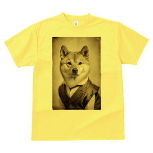 Č TVc fB[X t@  t  vg JWA 킢 lԗp h ̃fUC ʔ xXg Č Vc