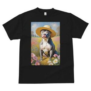 AJsbgueA TVc fB[X t@  t  vg JWA 킢 lԗp h ̃fUC ʔ Xq AJsbgueA Ԕ  