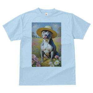 AJsbgueA TVc fB[X t@  t  vg JWA 킢 lԗp h ̃fUC ʔ Xq AJsbgueA Ԕ  