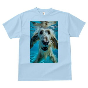 AtKnEh TVc fB[X t@  t  vg JWA 킢 lԗp h ̃fUC ʔ  AtKnEh 