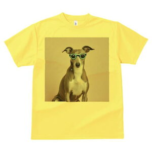 C^AO[nEh TVc Y LbY t@  t  vg JWA 킢 lԗp h ̃fUC ʔ Kl C^AO[nEh