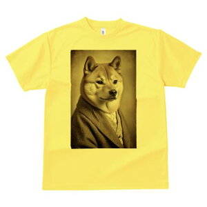 Č TVc fB[X t@  t  vg JWA 킢 lԗp h ̃fUC ʔ X[c Č 