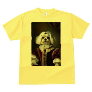 }`[Y TVc fB[X t@  t  vg JWA 킢 lԗp h ̃fUC ʔ  }`[Y hX ё ߑ