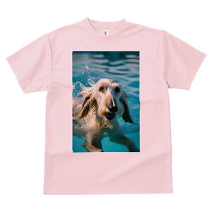 AtKnEh TVc fB[X t@  t  vg JWA 킢 lԗp h ̃fUC ʔ  AtKnEh j